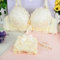 【LZ】﹊  Conjunto de cuecas e bralette sexy para mulheres bralette feminino regata cuecas sutiã de moda lingerie rosa lady crop tops 2 peças