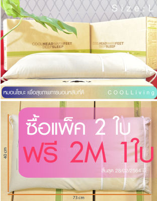 หมอนโซบะญี่ปุ่น หมอนร้อยปี Coolliving (Size L 2 ใบ ฟรี 2M 1 ใบ) หมอนสุขภาพ หมอนบัควีด ลดอาการปวดคอ ปวดต้นคอ ลดอาการกรน  รองรับการหนุนศีรษะที่ดี