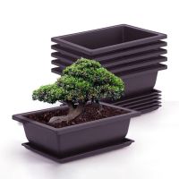 【YF】♨▩  Training Pots Flowerpots Imitation Succulent Plastic Bonsai Outdoor Garden Landscape Potted Trays