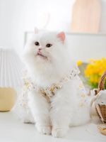 Hollow Floral Pet Dress Summer Puppy Dog Clothing Sweet Cat Skirt Small and Medium Dog Vest Skirt Princess Dress Clothing Shoes Accessories Costumes