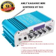 Ampli Karaoke Mini, Amply 12V