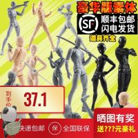 Percussive drill painting human body model sketch teaching AIDS play puppet doll furnishing articles studio to paint more joint moving