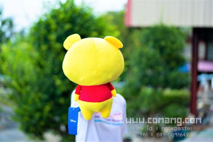 ตุ๊กตาหมีพูห์-pooh-disney-ลิขสิทธิ์แท้