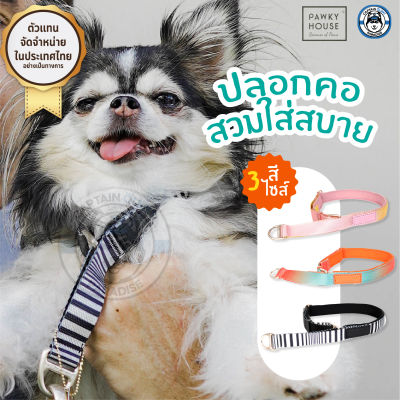 ปลอกคอสุนัข Comfort Collar - Pawky House จากตัวแทนจำหน่ายอย่างเป็นทางการในประเทศไทย