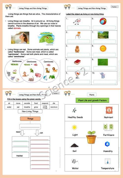 แบบฝึกหัด-วิชา-science-ep-ป-2