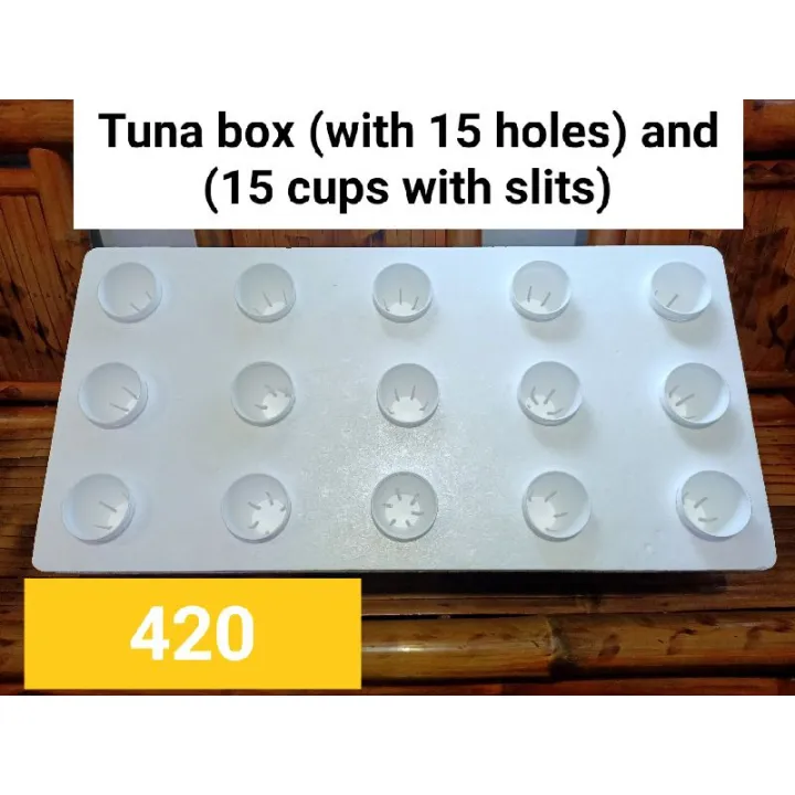 Vh(TUNA BOX FOR HYDROPONICS WITH 15 HOLES AND 15 CUPS | Lazada PH