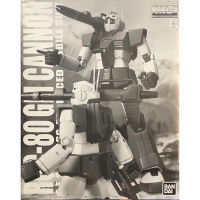 Mg 1/100 RGC-80 GM Cannon