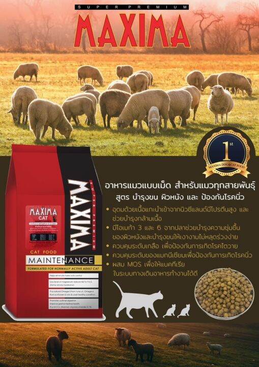 15kg-maxima-อาหารแมวสูตรเนื้อแกะและข้าว-บำรุงผิวหนัง-และขนสำหรับแมวทุกวัย-ทุกสายพันธุ์