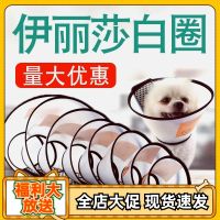 Elisha white circle dog ring pet cat dog anti-bite anti-lick neck ring sterilization shame collar anti-chaotic eating headgear supplies