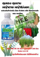 คุมหญ้า มันสำปะหลัง คุมหญ้าใบแคบ หญ้าปากควาย คุมหญ้า ไม่ให้งอก หลังปลูก ฉีดทับ อ้อย ข้าวโพด พริก แตง มะเขือ ผักสวนครัว มานอฟ 1 ลิตร