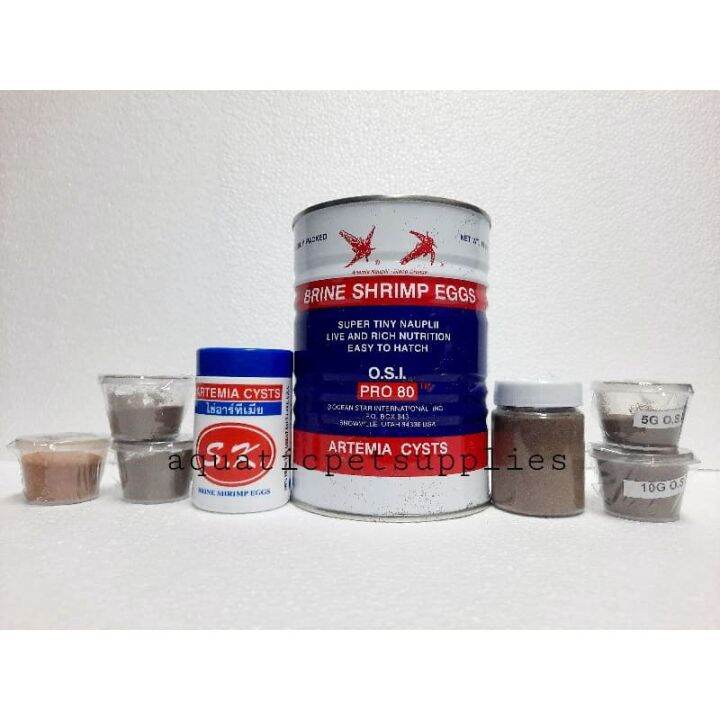 BBS, BRINE SHRIMP, HATCHEABLE BRINE SHRIMP, PROTEIN FOOD FOR FRY AND