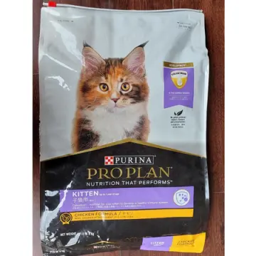 Pro plan hotsell kitten harga