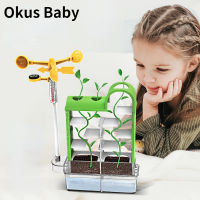 Children Biology Science Experiment toy Plant Kit Simulation model STEM Toys Kid Science Teaching Aids