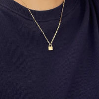 WOOZU 925 Sterling Silver 14k Gold Plated Punk Goth Mini Small Lock Pendant Link Chain Necklace For Women Hip Hop Party Jewelry