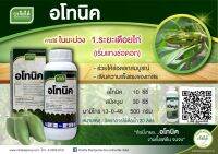 ?[ 100 cc ] อโทนิค ขนาด 100 CC ฮอร์โมนกระตุ้นการเจริญเติบโตของพืช สินค้าขายดี?