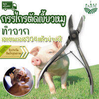 กรรไกรตัดเขี้ยวหมู กรรไกรตัดเขี้ยว สแตนเลส 14 cm รุ่นพิเศษด้ามจับกันลื่น**สินค้าส่งด่วนจากไทย!!