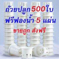 ถ้วยปลูกผักไฮโดรโปรนิกส์  สีขาว  (จำนวน 500ใบ ฟรีฟองน้ำเพาะเมล็ด 5แผ่น)  ถ้วยปลูกผัก  หนาทนทาน ใช้ซ้ำได้  ส่งฟรี มีปลายทางทาง