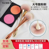 ❉ And her small pretty waist size powder makeup makeup brushes eye shadow brush ultra soft block defect spot wholesale