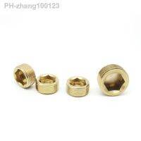 M5 M6 M8 M10 M12 M14 M16 M18 M20 M22 1/8 1/4 3/8 1/2 3/4 1 BSP NPT Male Thread Brass Hex Socket End Cap Plug Pipe Fitting