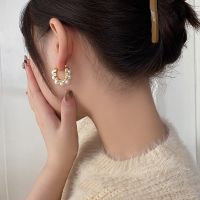 [COD] earrings 2023 new trendy circle womens spring and summer niche high-end silver needle