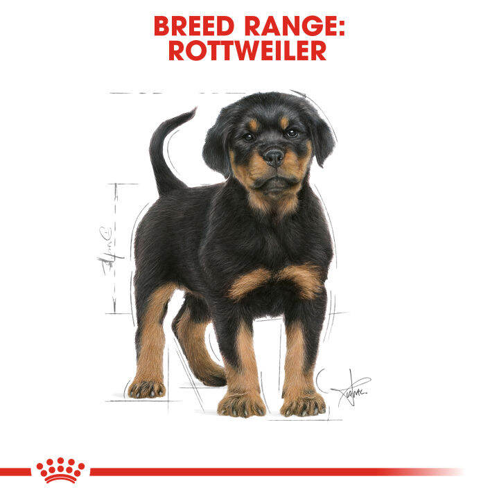 online-exclusive-royal-canin-rottweiler-puppy-โรยัล-คานิน-อาหารเม็ดลูกสุนัข-พันธุ์ร็อทไวเลอร์-อายุต่ำกว่า-18-เดือน-12kg-dry-dog-food