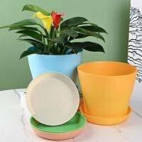 【YF】ஐ❂  1pc Pot Colorful Durable Resin Tray Garden Saucer Decoration Holes with a Draina S3E2