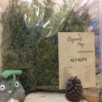 KB Organic Alfafa Hay หญ้า​อัลฟา​ฟ่า ​ขนาด180กรัม