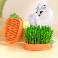 Cat Grass Planter Box Cartoon Carrot Hydroponic Cat Grass Box S1H4