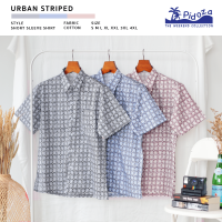 [ใหม่] เสื้อเชิ้ตแขนสั้น ลาย Urban Striped ? ผ้าคอตตอน ทรงตรง สี Ash Grey / Blue / Maroon