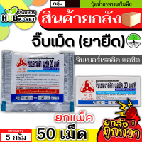 ?? สินค้ายกกล่อง ?? จิ๊บเม็ด 5กรัม*50เม็ด (กรดจิบเบอร์เรลลิคแอซิด) จิ๊บยืดยอด ยืดช่อ ยืดผล