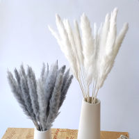 【cw】Grey Pampas Grass Decor Whit Dried Flowers Bouquet Artificial Plants Wholesale Wedding Party Home Craft Supplies Props for Photo