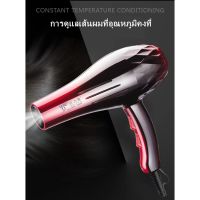 Pet missไดร์เป่าผม DELIYA 8080 2200W Hair dryer(ปรับความร้อน&amp;แรงลมได้) ไดร์เป่าผม เป่าผม ไดเป่าผม ไดรเป่าผม พกพา เครื่องเป่าผม DLY ไดร์เป่าผม ร้อนเร็ว ลมแ