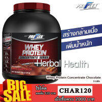 **Whey Protein Concentrate Chocolate  ( 5 LBS..)**  สร้างกล้ามเนื้อเเละเพิ่มน้ำหนัก