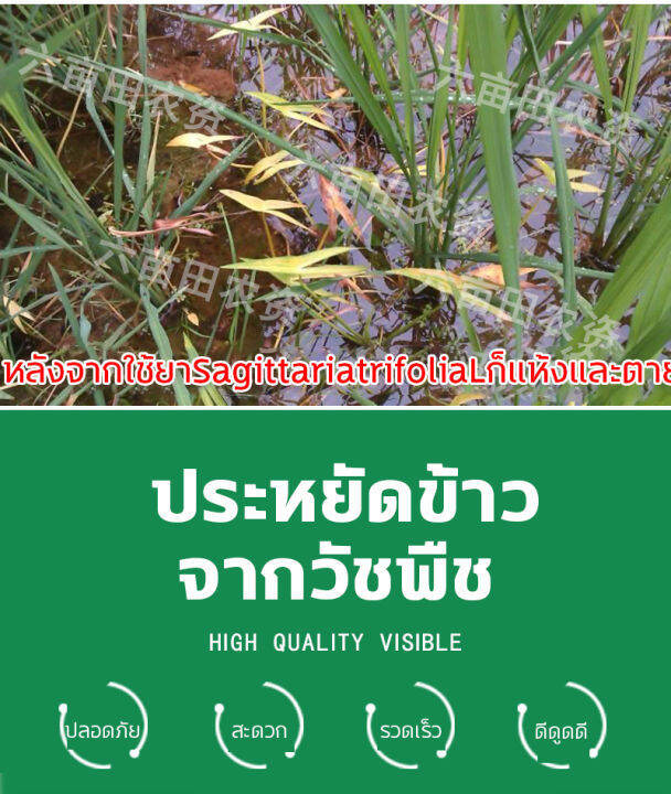 ยาคุมหญ้าข้าว-คุมฆ่าในนาข้าว-ยาคุมหญ้าข้าว-1ฟรี1-เข้มข้นสุดๆ-10g-ประหยัดข้าวจากวัชพืช-เห็นผลรวดเร็ว-ระยะเวลานาน-1ชุด-ผสมน้ำ60catties-วัชพืชในนาข้าวต่างๆ-หญ้าข้าวนก-หญ้าหูหนู-สารกำจัดวัชพืช-คุมเลนนาข้า