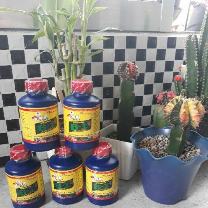 Rooting hormone Vitamin B1 Humic & Alpha Amino acid for growth and root Lazada PH