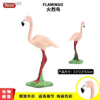 ? ของขวัญ Simulation model of wildlife birds flamingo solid flamingos static doll cake decoration furnishing articles