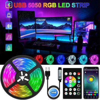 5050 LED Strip Light USB Bluetooth RGB 5V LED RGBW Lights Flexible LED Lamp Tape Ribbon RGBWW TV Desktop BackLight Diode Tape