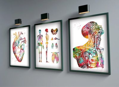 Human Anatomy Muscles System watercolor Wall Art Canvas Painting Posters Body Map Wall Pictures Medical Education Home Decor
