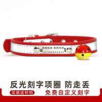 Dog collar anti-off cat anti-dog brandanti-lost lettering collarFrench Doularge medium anddogs