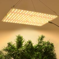 JCBritw LED Grow Light Full Spectrum 1200W Plants Grow Lamps Dimmable Veg Bloom Switch Slim and Light Weight