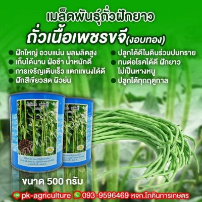 เมล็ดพันธุ์ถั่วฝักยาวเพชรขจี ขนาด 500 กรัม