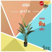 โปรแรง ต้นเบิร์ด ออฟ พาราไดส์ (ฺBird of Paradise) สูง 1.2 เมตร พร้อมกระถาง #ต้นไม้ปลอมตกแต่งบ้าน Leeartplants (๙) เก็บเงินปลายทาง