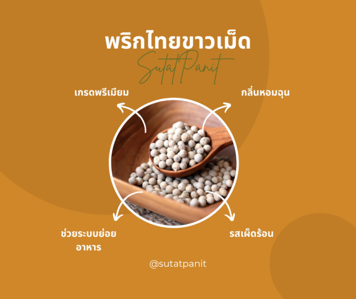 พริกไทยขาวเม็ด-500-กรัม-ตราสุทัศน์พานิช