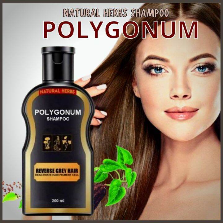 BEST SELLER!! Authentic Polygonum Hair Dye Shampoo Shampoo and