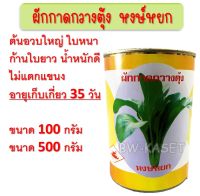 เมล็ดพันธุ์ผักกาดกวางตุ้ง ผักกาดกวางตุ้ง ขนาด100 และ 500กรัม เมล็ดกวางตุ้ง เมล็ดพันธุ์กวางตุ้ง เมล็ดกวางตุ้งต้น