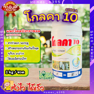 โกลคา10  ( 1กิโล ) แพกโคลบิวทราซอล10 🌸 สารควบคุมการเจริญเติบโตของพืช สารทำดอก นอกฤดู ได้ผลผลิตก่อนใคร สร้างดอกออกพร้อมกัน ทุเรียน มะม่วง🌸 homes