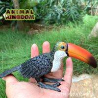 Animal Kingdom - โมเดล Hornbill นก เงือก ขนาด 16.00 CM (จากสงขลา)