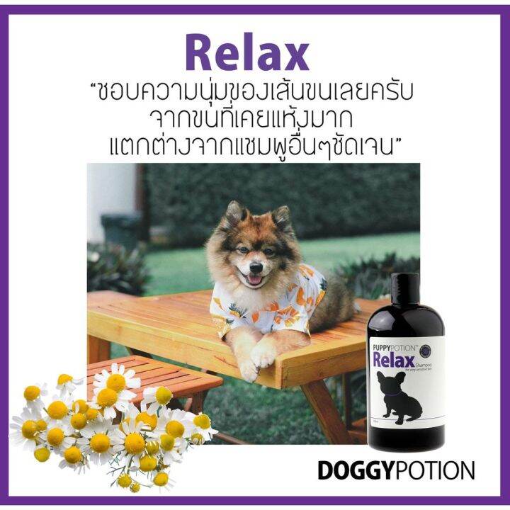 puppy-potion-relax-shampoo-แชมพูสำหรับสุนัข-สบู่อาบน้ำสุนัข-สูตรออร์แกนิค-500ml