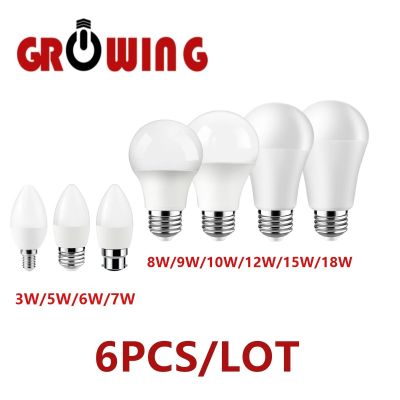 Factory promotion LED bulb lamp candle lamp 220V 3W-18W non-strobe warm white light suitable for kitchen, living room and study