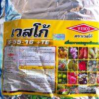 ( Pro+++ )++ ใช้ SOMS748 ลดอีก 15%ปู่ย 6-55-16 เวสโก ขนาด 1 กิโลกรัม ราคาดี ต้นไม้ ฟอก อากาศ กระถาง ต้นไม้ ไม้ ประดับ ต้นไม้ ปลูก ใน บ้าน